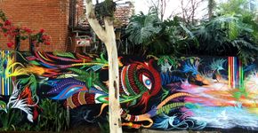 Matilha Cultural celebra uma década com a ocupação ‘Boleta+NDRUA’