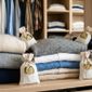 Da redação: Por que muitas pessoas passaram a colocar folhas de louro entre as roupas e o que esse hábito pode oferecer