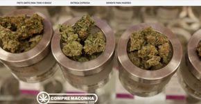Site ‘fake’ chama atenção para legalização da maconha