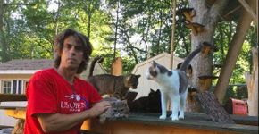 Homem transforma sua residência em santuário para 300 gatos