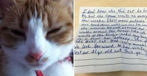 Gata volta para casa com um bilhete revelador: confira