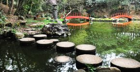 Festival da Cultura Japonesa de Diadema será neste sábado