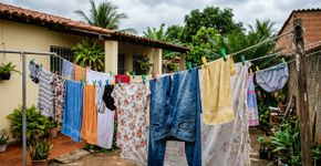 Neozelandeses evitam secar roupa dentro de casa sempre que podem: uma única carga molhada pode liberar litros de umidade no ambiente, favorecendo condensação e mofo em paredes e janelas