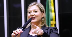 Eleições 2020: o que você precisa saber sobre Joice Hasselmann