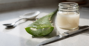 Aprenda a receita da máscara caseira com babosa e óleo de coco para hidratação profunda