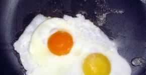 Cor da gema dos ovos indica o tipo de alimentação das galinhas