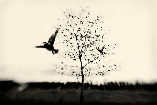 Foto: Elena Lyakir