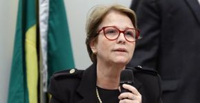 Foto: (Vinicius Loures/Câmara dos Deputados)