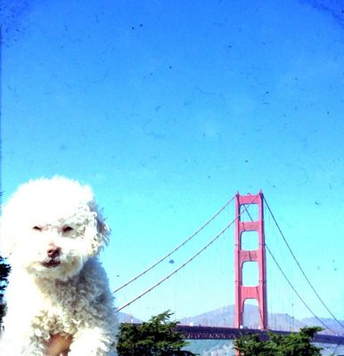 San Francisco (EUA)