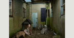 Conheça o trabalho da fotógrafa que recria contos de fadas com animais de verdade