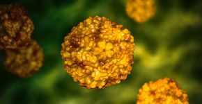Foto: (Dr_Microbe/istock)