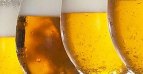 Cerveja que não dá ressaca
