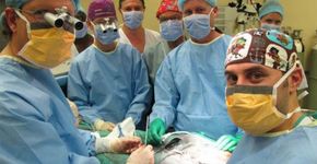 Médicos começam a fazer campanha por doação de pênis