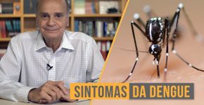 Dengue cresce 40% em 2 semanas. Aprenda a identificar rapidamente