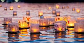 Water Lantern Festival ilumina as águas do Jardim Botânico de São Paulo em experiência inédita