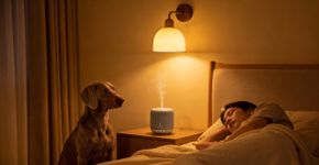 O truque para dormir profundamente sem precisar de remédios
