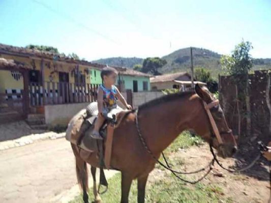 As únicas três fotos encontradas por Quintão após a lama