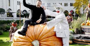 Agricultor colhe abóbora gigante com mais de mil kg na Dinamarca