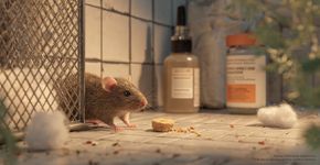 Esses métodos naturais eliminam ratos sem colocar pets e crianças em risco de intoxicação