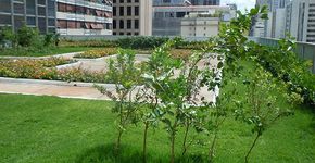 Paulista ganha 1º telhado verde sustentável; veja fotos