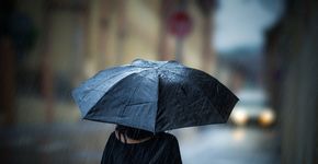 Foto: (Lunja/Shutterstock)