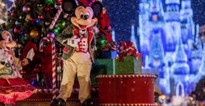 Foto: (Divulgação/Disney Parks)