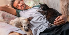 Foto: (iStock)