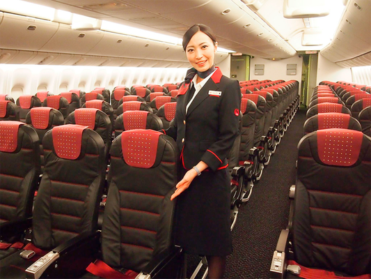 6 - Japan Airlines (Japão)