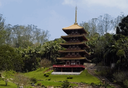 Conheça a Torre de Miroku, um lugar lindo e zen em SP