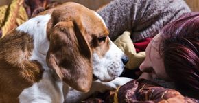 Coisas que só quem tem cachorro vai entender