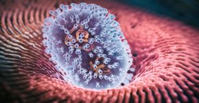 Foto: (koto_feja/istock)
