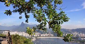Ecobarcos recolhem lixo da Baía de Guanabara