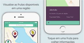 Universitários criam aplicativo que mapeia pés de frutas públicos