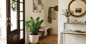Ter zamioculca em casa pode ter um significado oculto que poucos conhecem