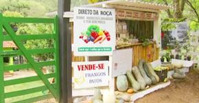 A barraquinha de produtos orgânicos que não tem vendedor em Minas