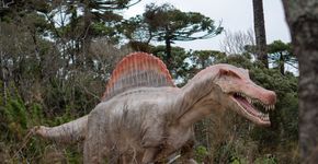 Parque de dinossauros em Campos do Jordão abre em novembro; confira