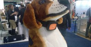 Coleira inteligente para cachorros tem 3G, GPS e bluetooth