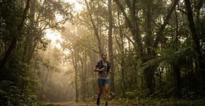 Especialistas já concordam: caminhar 1 hora por dia, 7 dias por semana, em ritmo leve, pode queimar até 75 000 calorias por ano