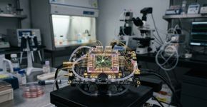 O primeiro computador biológico comercial funciona com células cerebrais humanas vivas: como o CL1 usa neurônios para processar informações