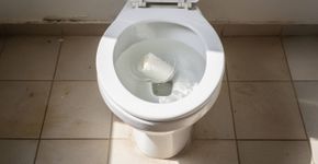 Entendi tarde demais por que o papel higiênico nunca deve ser jogado no vaso sanitário