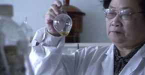 Chinesa sem diploma médico acha cura da malária e ganha Nobel de Medicina