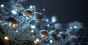 Fungos podem virar chips vivos e mudar o futuro dos computadores