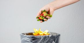 Foto: (Kateryna Artsybasheva/iStock)