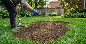 Como preencher áreas descobertas em seu jardim e fazer a grama crescer mais rápido