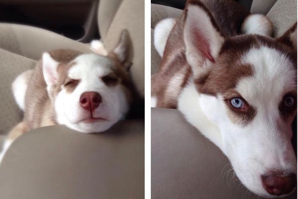 7 meses de diferença (Imagem: Jennifer610) 
