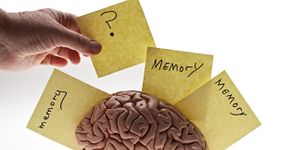 Foto: (DebbiSmirnoff/istock)