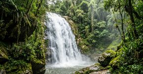 De altitudes superiores a 2 mil metros até o nível do mar em quase 106 mil hectares: o parque entre Rio de Janeiro e São Paulo que reúne Mata Atlântica, cachoeiras, antigas trilhas de serra e até uma praia dentro de sua diversidade de paisagens
