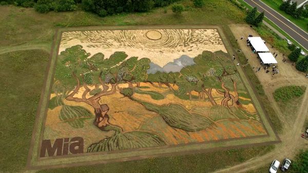 O artista usou plantas e outros materiais reciclados para fazer a releitura do quadro (Reprodução/Minneapolis Institute of Art)