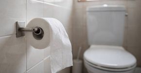 Se você pendurar papel higiênico assim, os resultados são assustadores: ele ficará cheio de germes. Por que “esta direção” é a direção certa