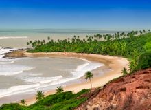 Featured side: Catraca Viagens oferece descontos nestes 4 passeios em João Pessoa